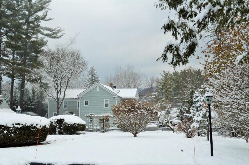 Maple Terrace Motel image 19