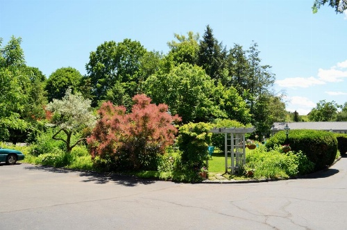 Maple Terrace Motel image 35