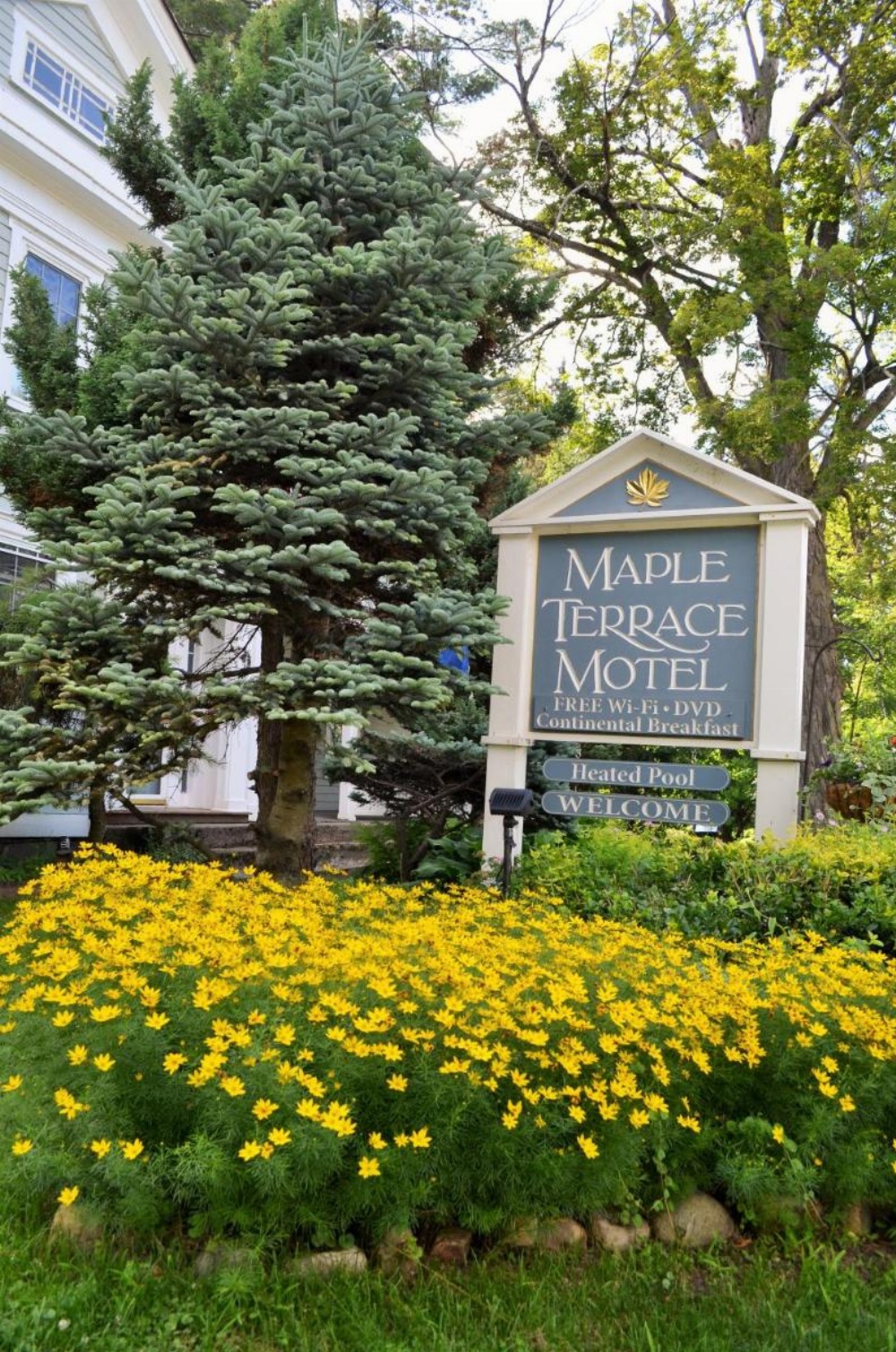Maple Terrace Motel Image 36