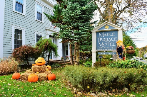 Maple Terrace Motel image 4